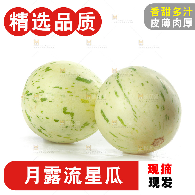 白底上的月露流星蜜瓜