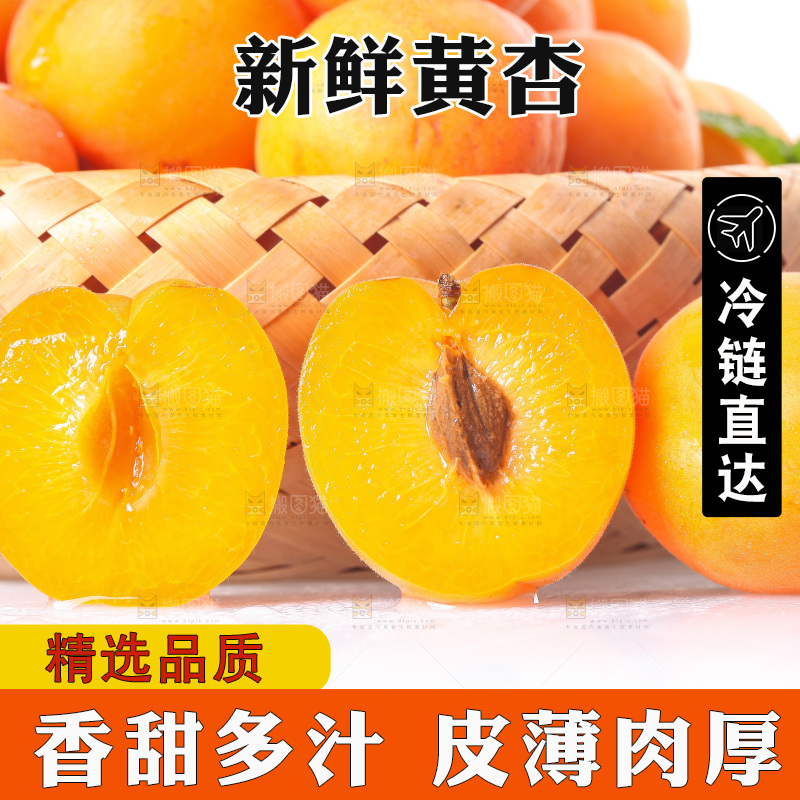 白底上的大黄杏
