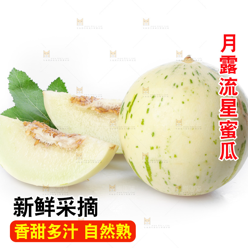 白底上的月露流星蜜瓜