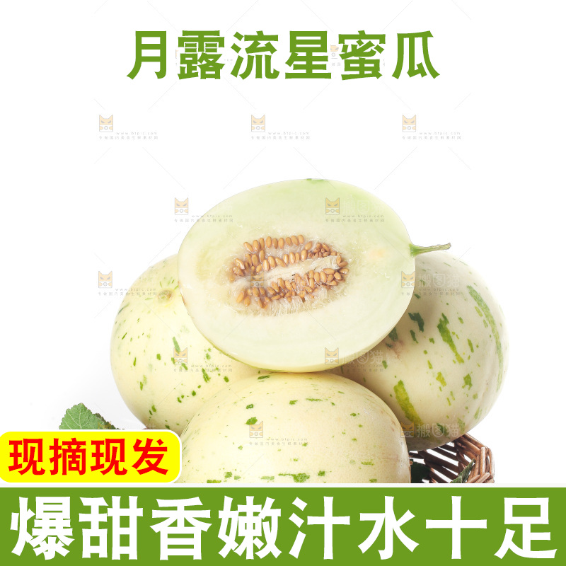白底上的月露流星蜜瓜