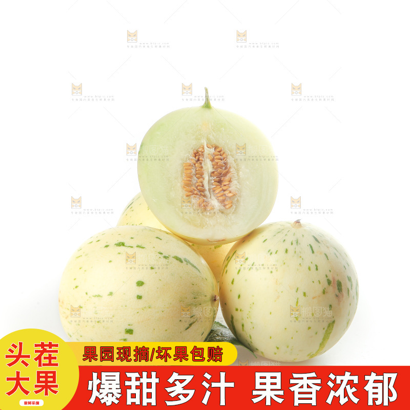白底上的月露流星蜜瓜