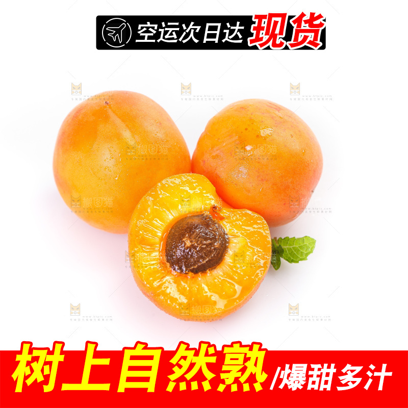 白底上的大黄杏
