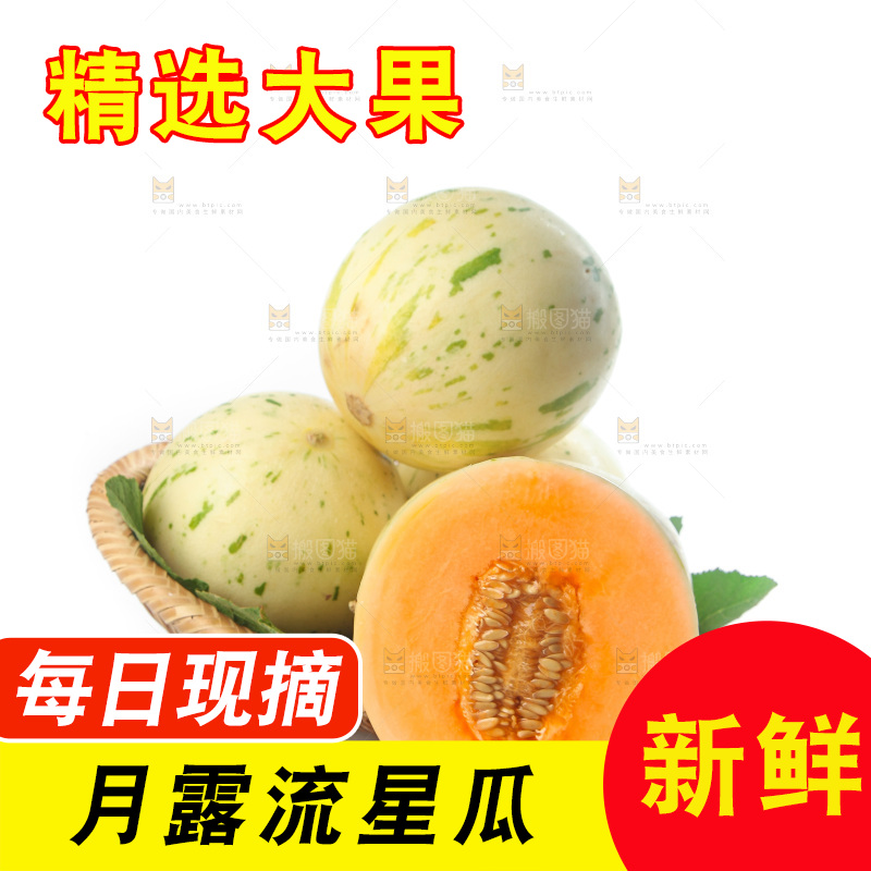 白底上的月露流星蜜瓜