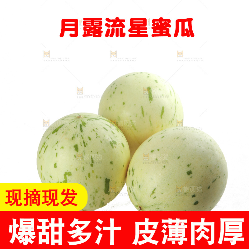白底上的月露流星蜜瓜