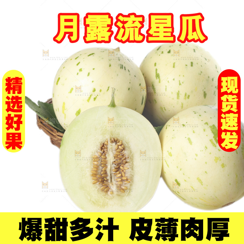 白底上的月露流星蜜瓜