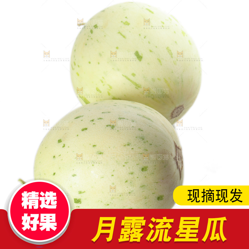 白底上的月露流星蜜瓜