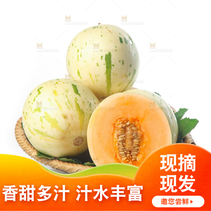 白底上的月露流星蜜瓜