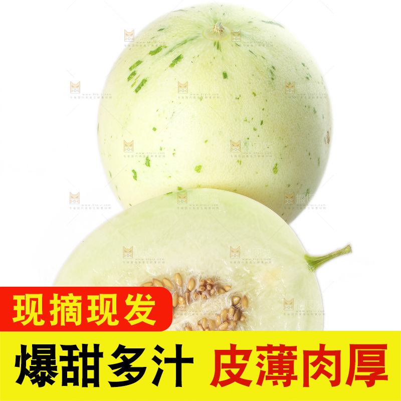 白底上的月露流星蜜瓜