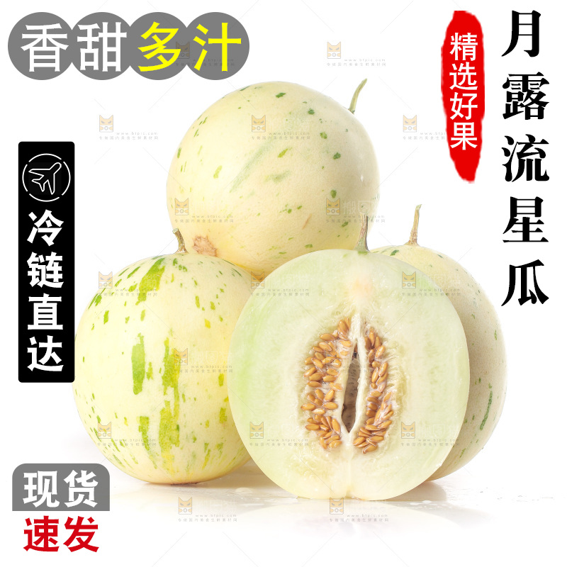 白底上的月露流星蜜瓜