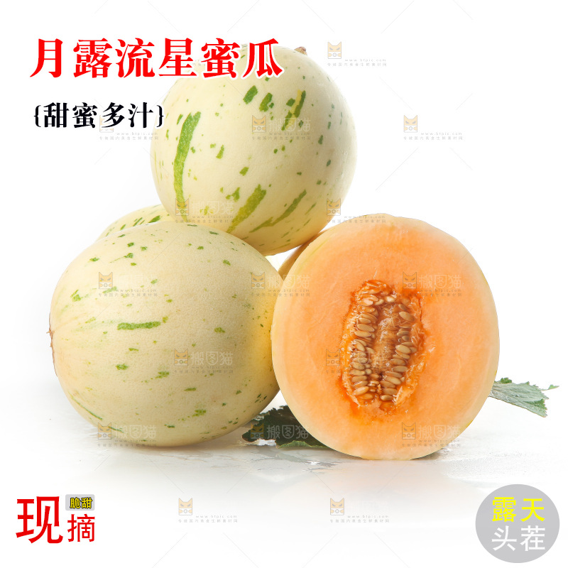 白底上的月露流星蜜瓜