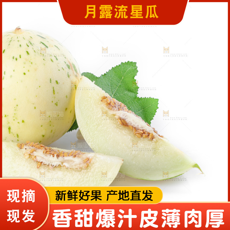 白底上的月露流星蜜瓜