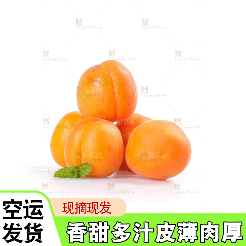 白底上的大黄杏