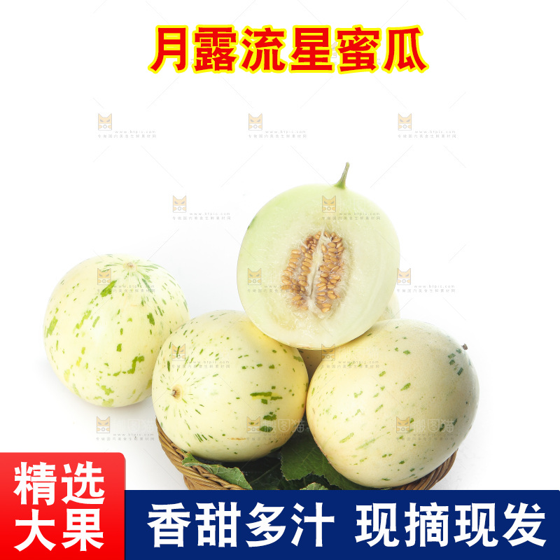 白底上的月露流星蜜瓜
