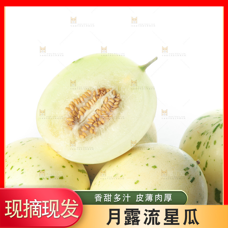 白底上的月露流星蜜瓜