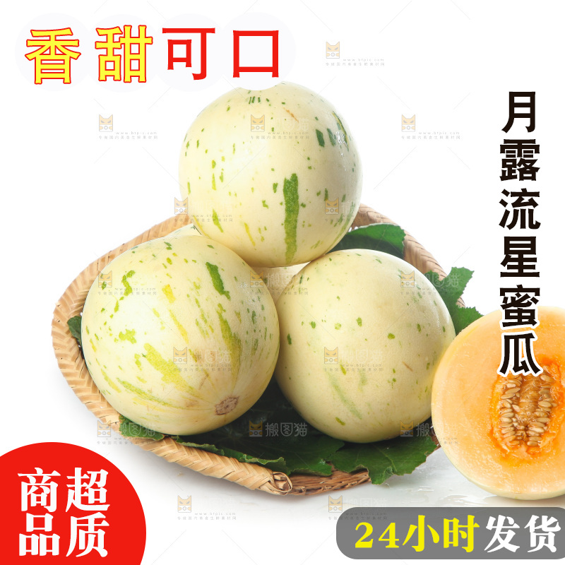 白底上的月露流星蜜瓜