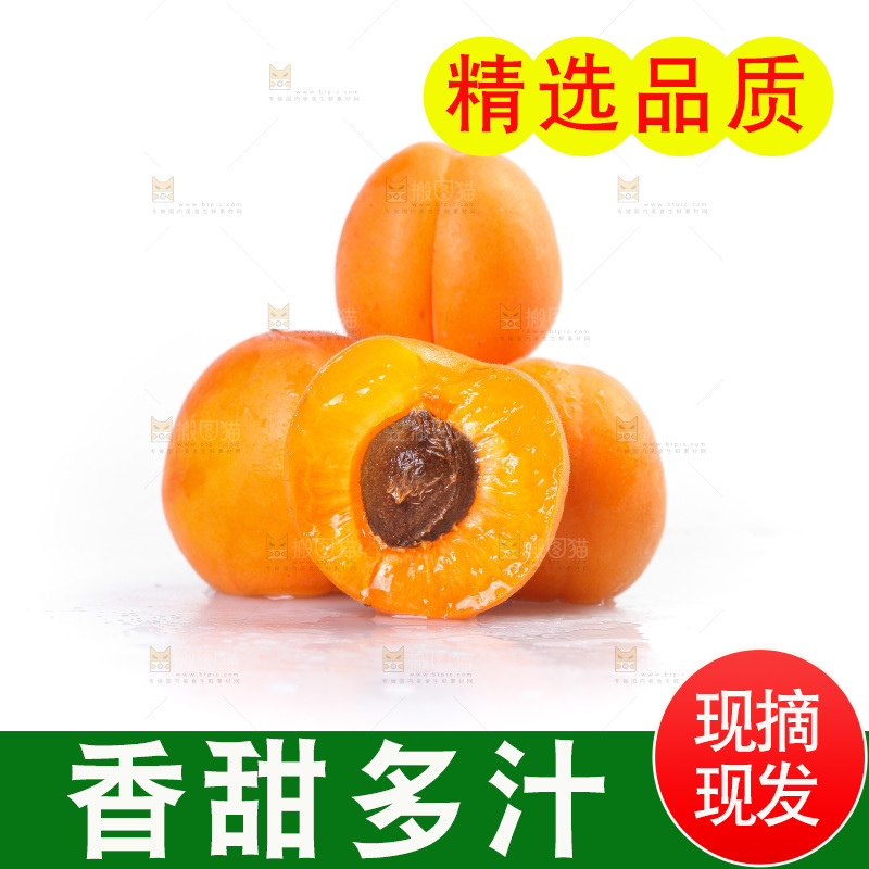 白底上的大黄杏