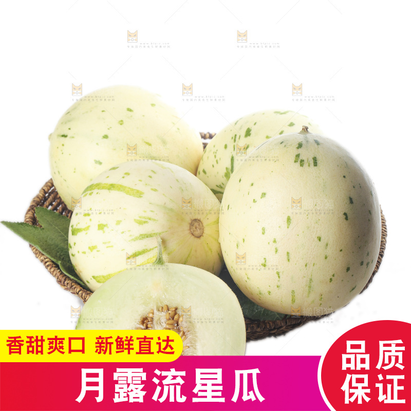 白底上的月露流星蜜瓜