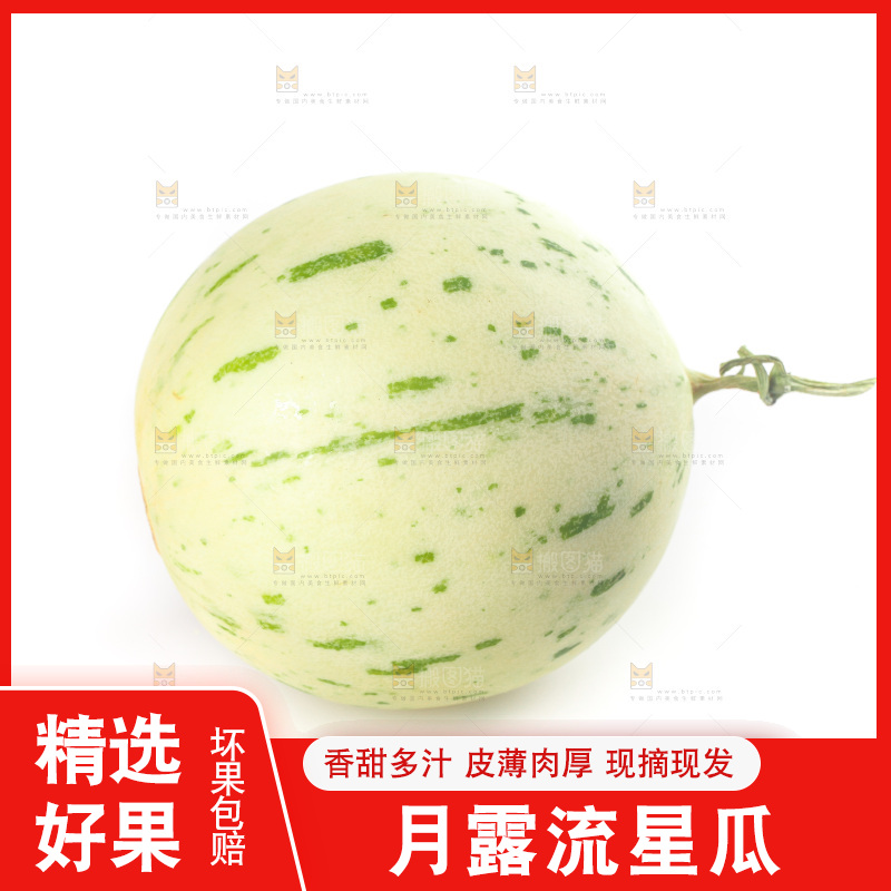 白底上的月露流星蜜瓜