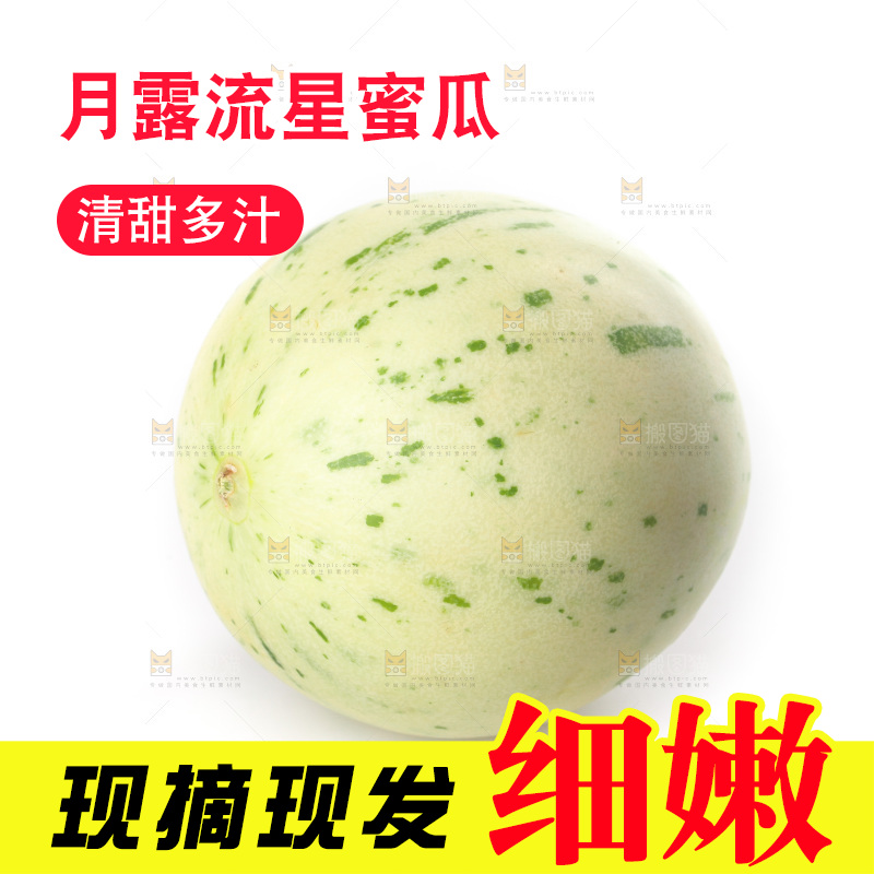 白底上的月露流星蜜瓜