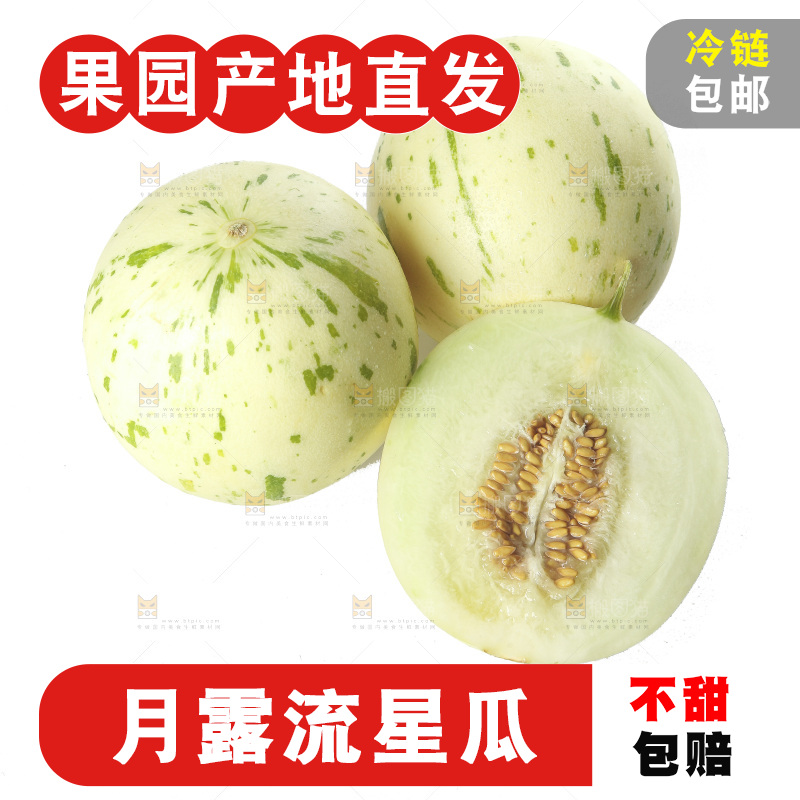 白底上的月露流星蜜瓜