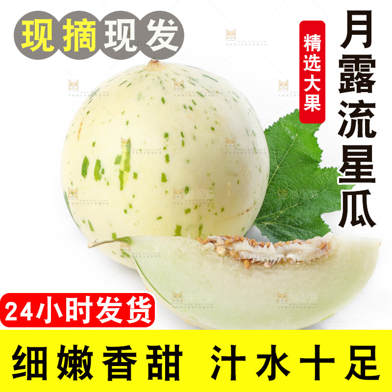 白底上的月露流星蜜瓜