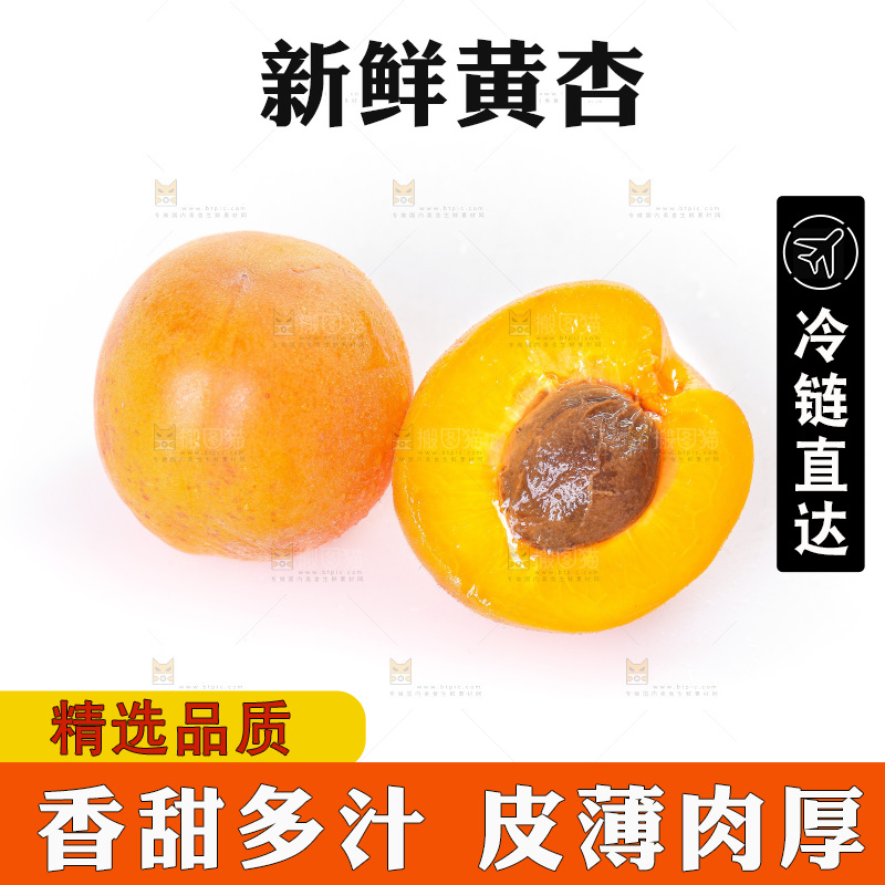 白底上的大黄杏