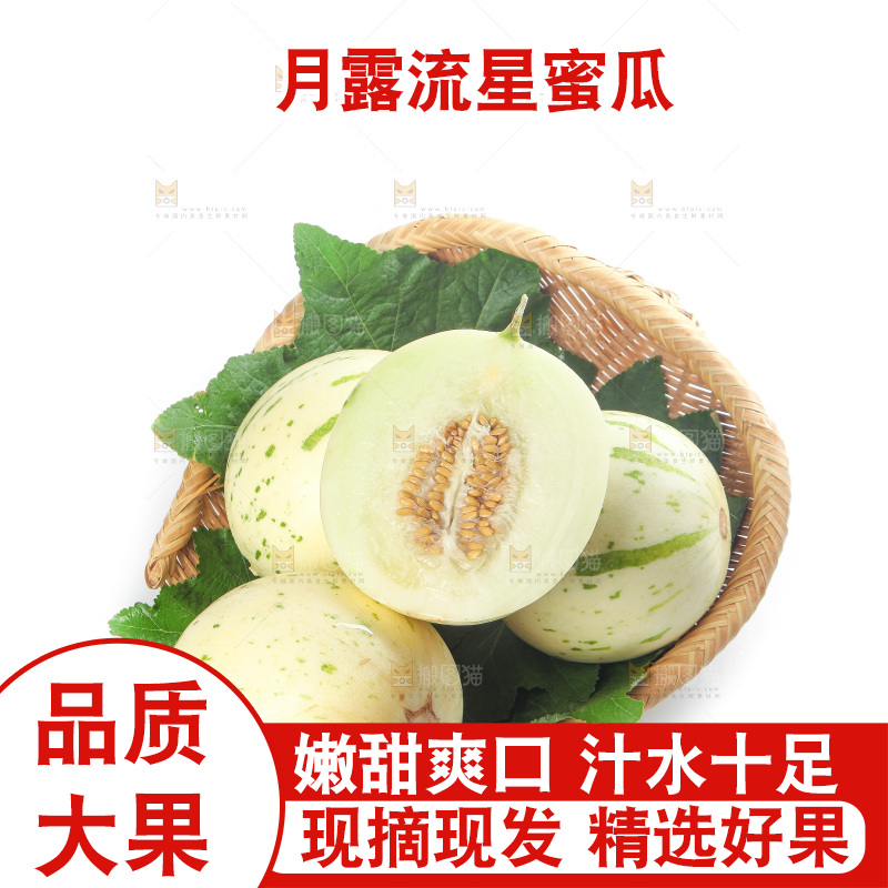 白底上的月露流星蜜瓜