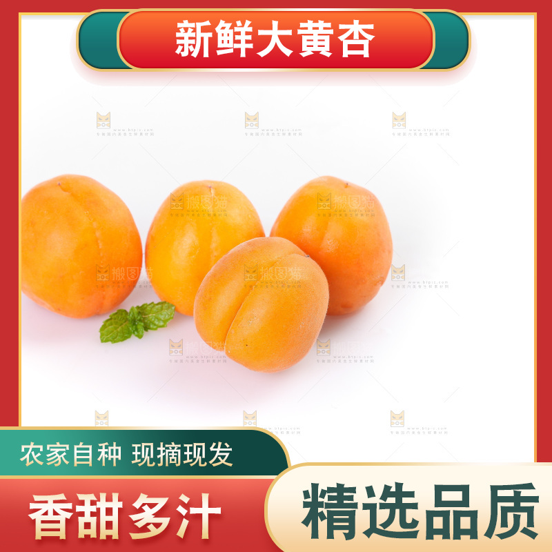 白底上的大黄杏