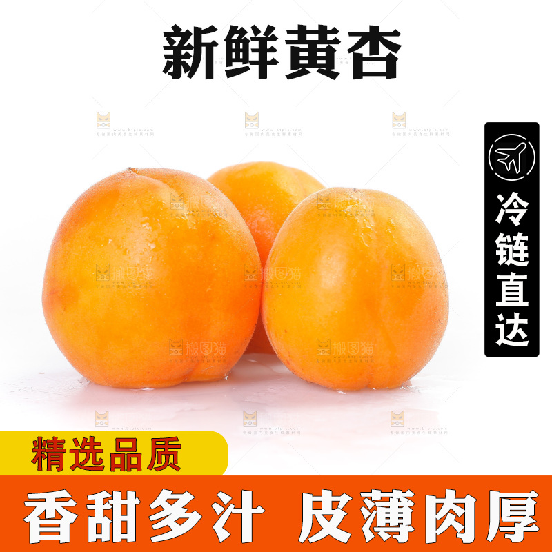 白底上的大黄杏