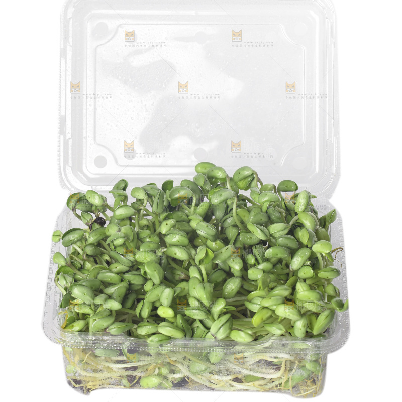 白底上的黑豆芽