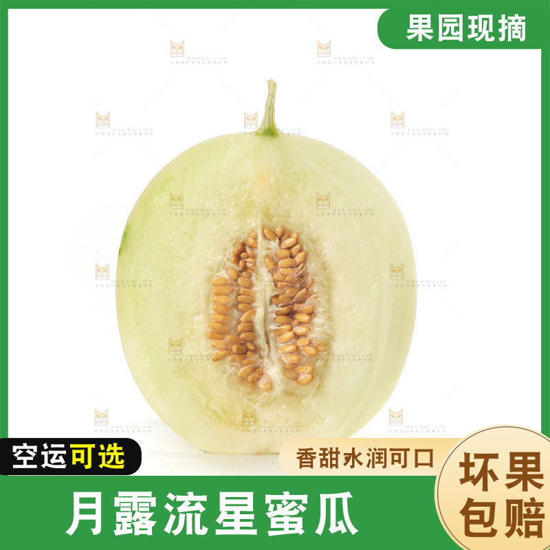 白底上的月露流星蜜瓜