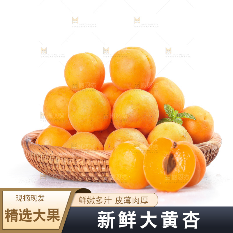 白底上的大黄杏