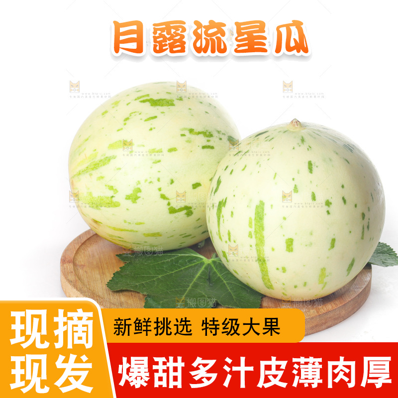 白底上的月露流星蜜瓜