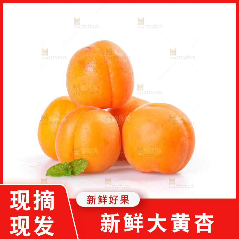 白底上的大黄杏