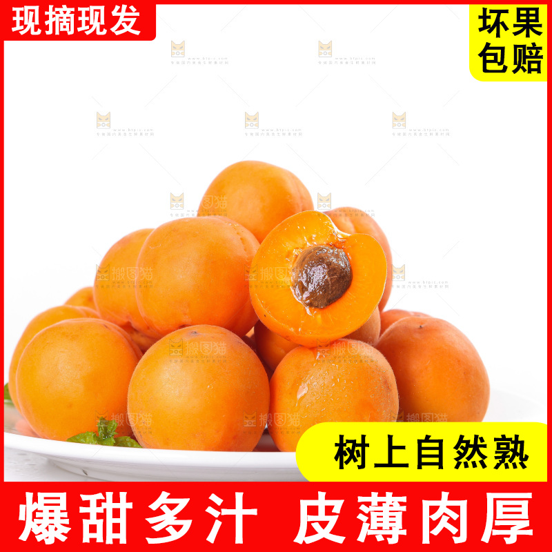白底上的大黄杏