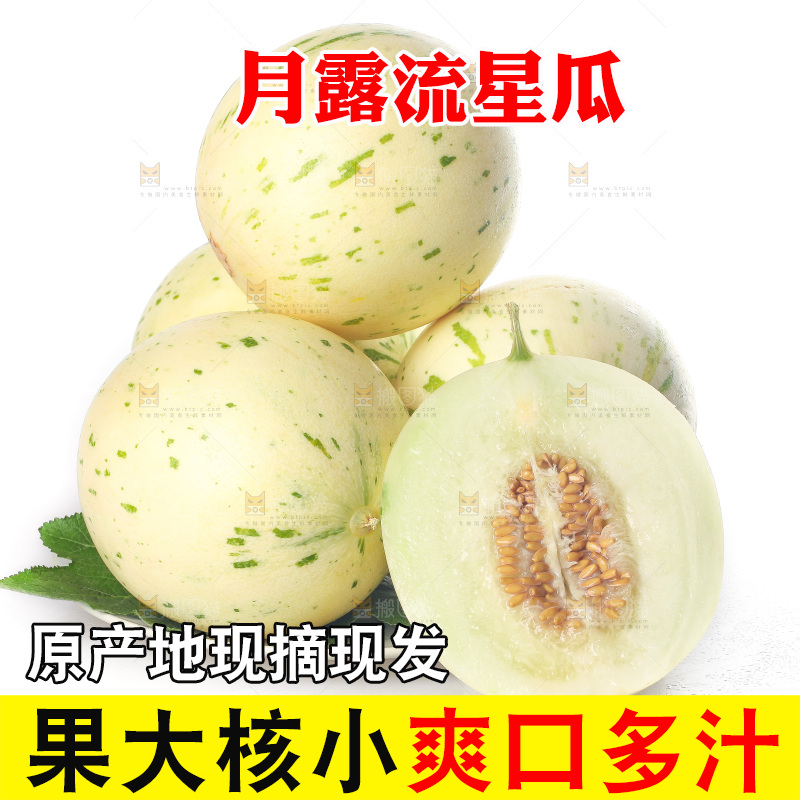 白底上的月露流星蜜瓜