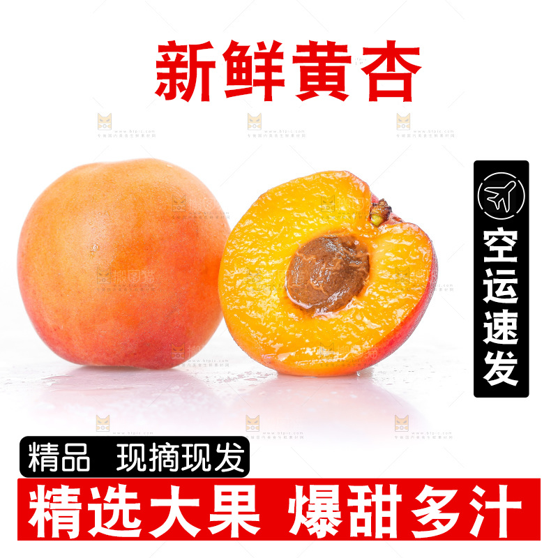 白底上的大黄杏