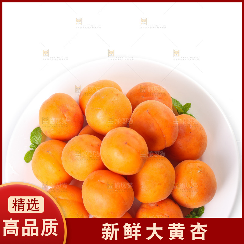 白底上的大黄杏