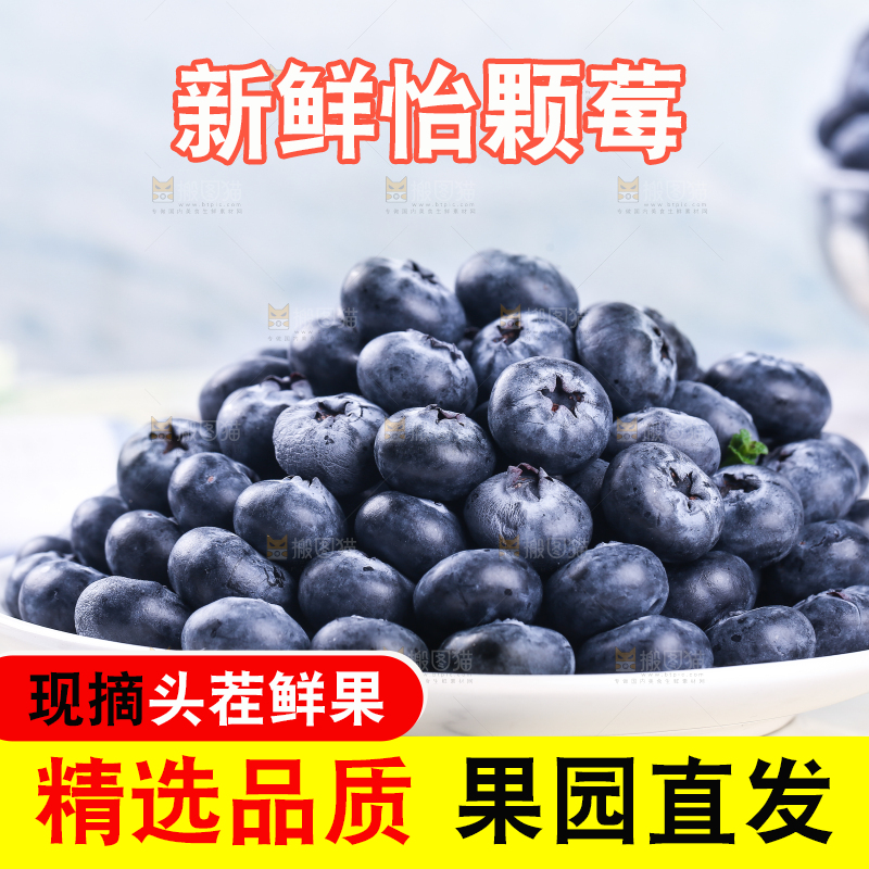浅底上的怡颗莓