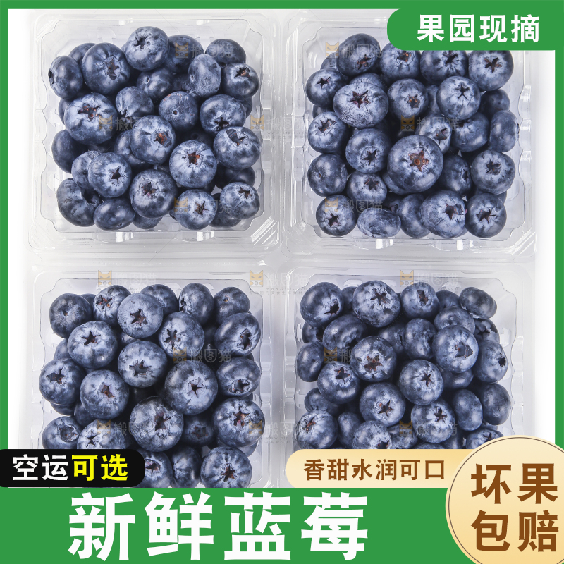 白底上的怡颗莓