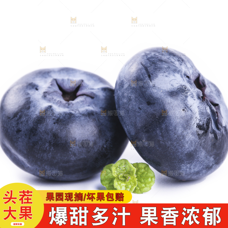 白底上的怡颗莓