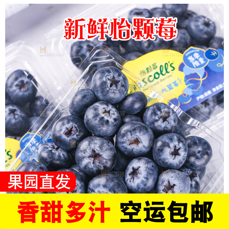 浅底上的怡颗莓