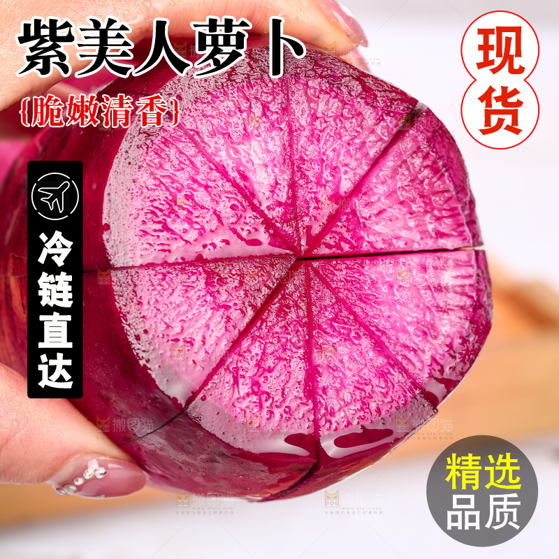 浅底上的紫美人萝卜