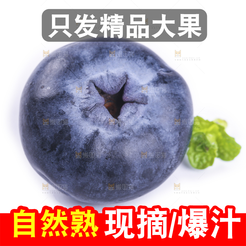 白底上的怡颗莓