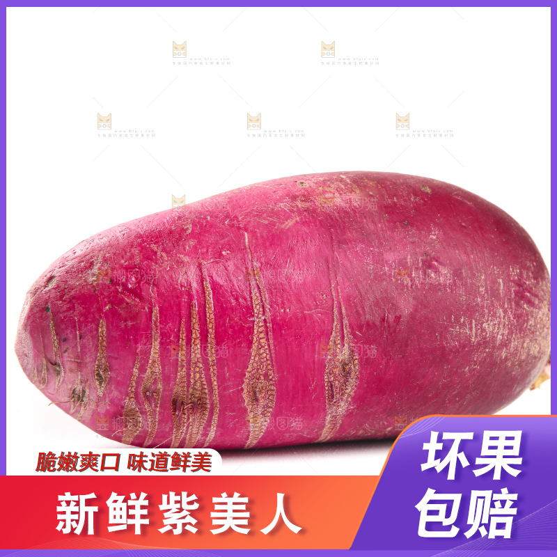 白底上的紫美人萝卜