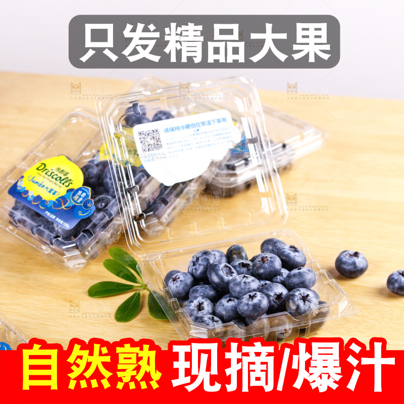 浅底上的怡颗莓