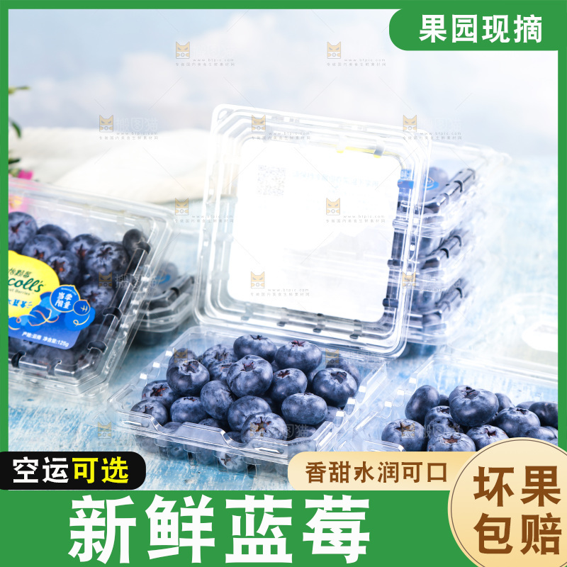 浅底上的怡颗莓