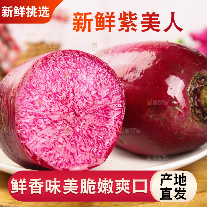 浅底上的紫美人萝卜