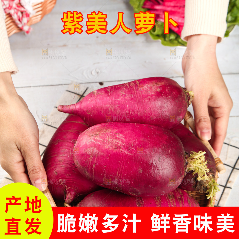 浅底上的紫美人萝卜