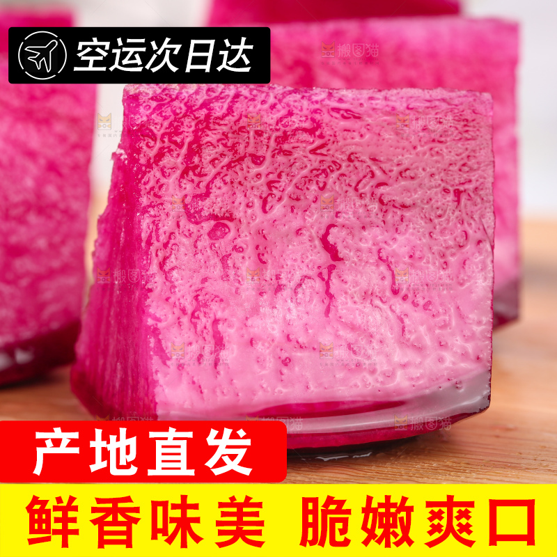 浅底上的紫美人萝卜